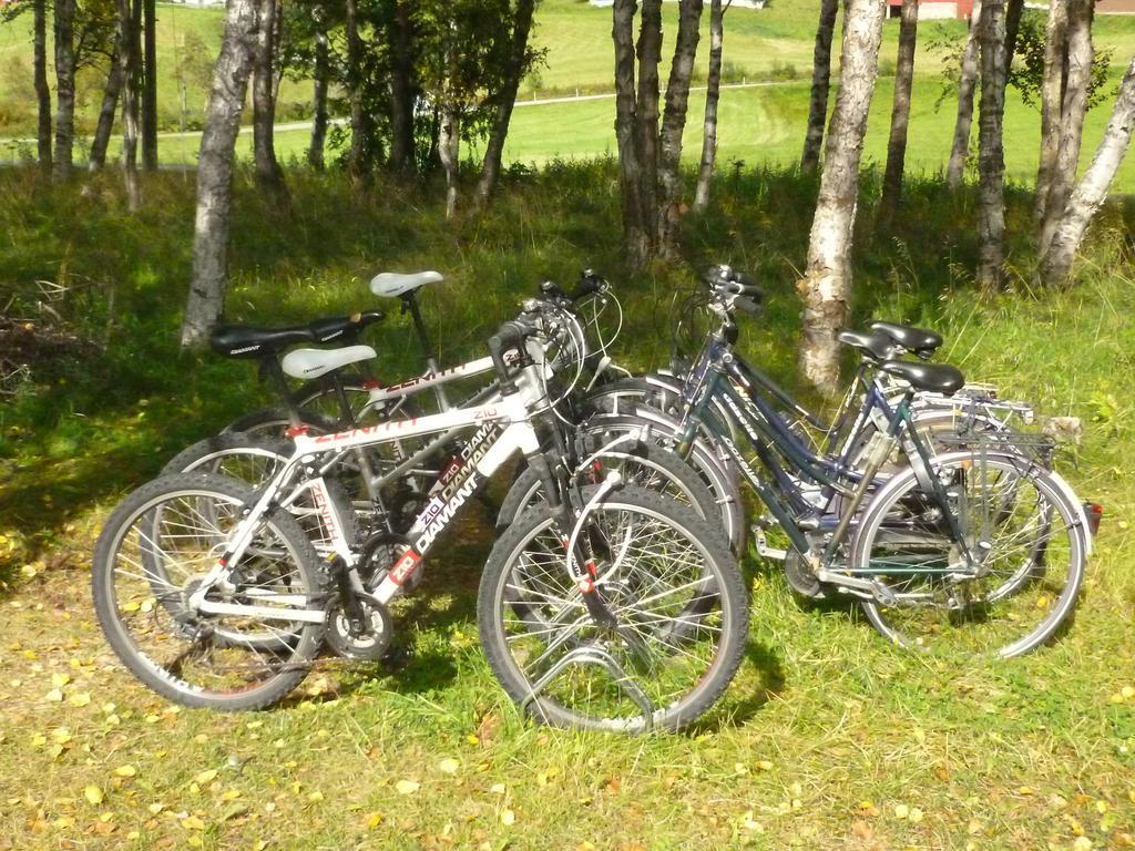 Birkelund Camping Geilo Dış mekan fotoğraf