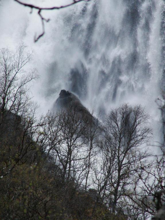 Birkelund Camping Geilo Dış mekan fotoğraf